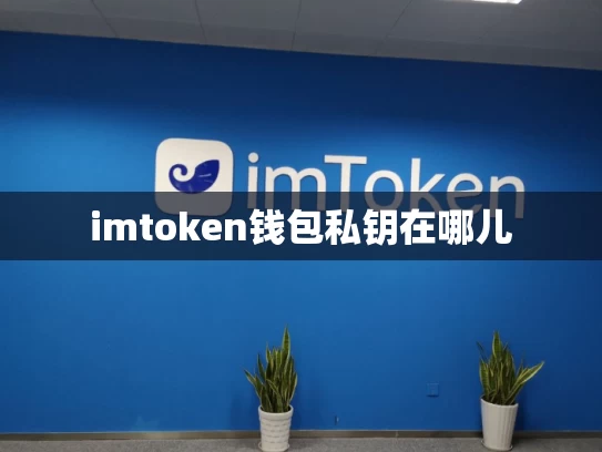 imtoken钱包私钥在哪儿