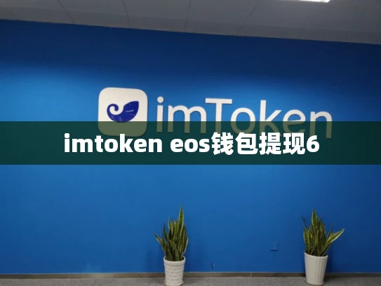 imtoken eos钱包提现6