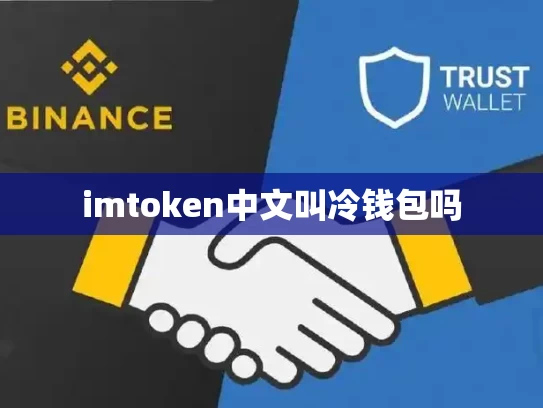 imtoken中文叫冷钱包吗