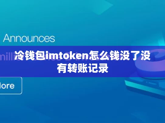 冷钱包imtoken怎么钱没了没有转账记录