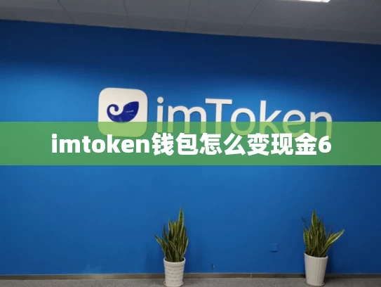 imtoken钱包怎么变现金6