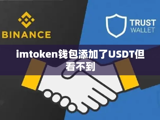 imtoken钱包添加了USDT但看不到