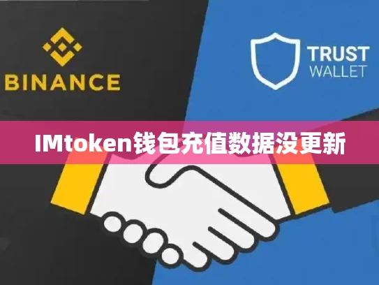 IMtoken钱包充值数据没更新