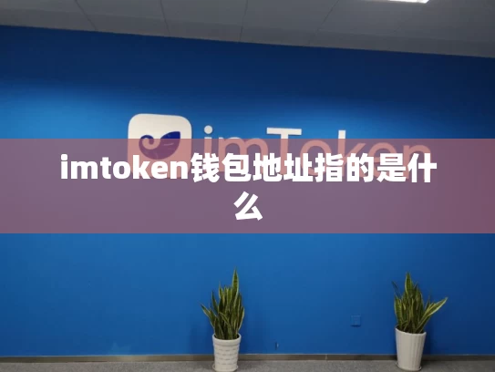 imtoken钱包地址指的是什么