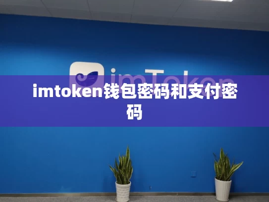 imtoken钱包密码和支付密码