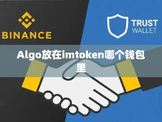 Algo放在imtoken哪个钱包里