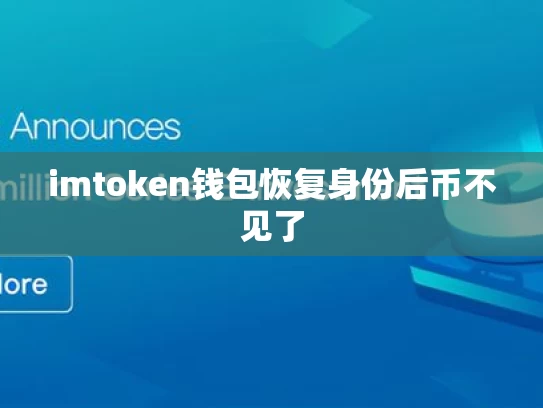 imtoken钱包恢复身份后币不见了