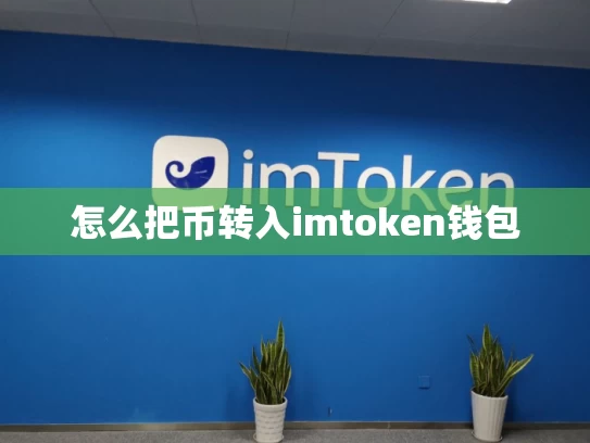 怎么把币转入imtoken钱包