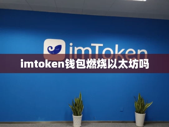 imtoken钱包燃烧以太坊吗