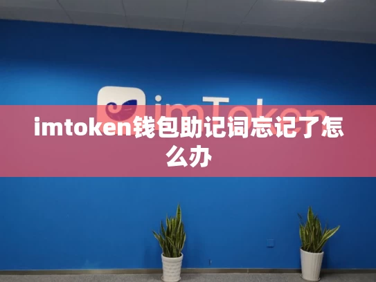 imtoken钱包助记词忘记了怎么办