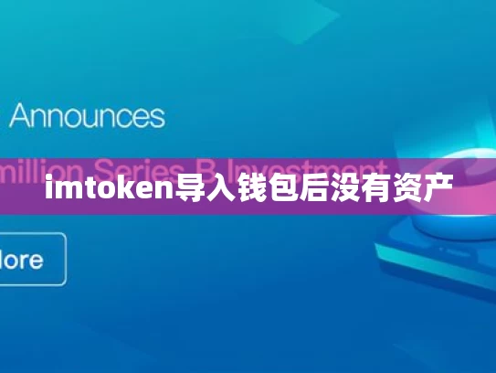imtoken导入钱包后没有资产