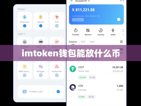 imtoken钱包能放什么币