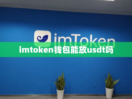 imtoken钱包能放usdt吗