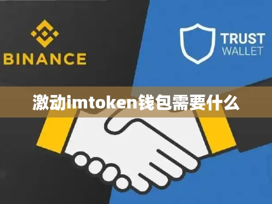 激动imtoken钱包需要什么