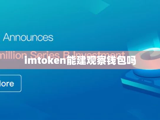 imtoken能建观察钱包吗