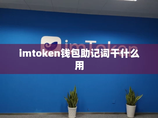 imtoken钱包助记词干什么用