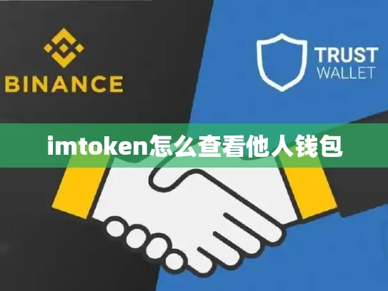 imtoken怎么查看他人钱包