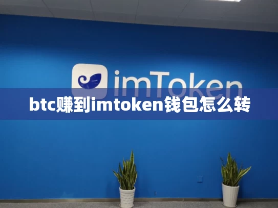 btc赚到imtoken钱包怎么转