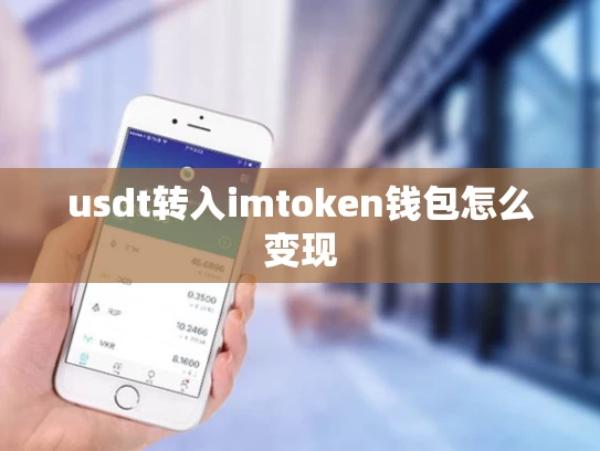 usdt转入imtoken钱包怎么变现
