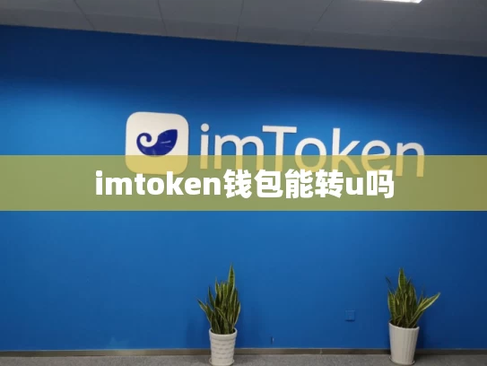 imtoken钱包能转u吗