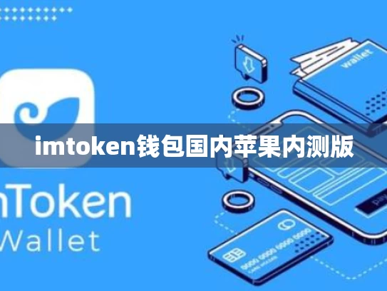 imtoken钱包国内苹果内测版