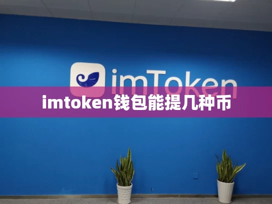 imtoken钱包能提几种币