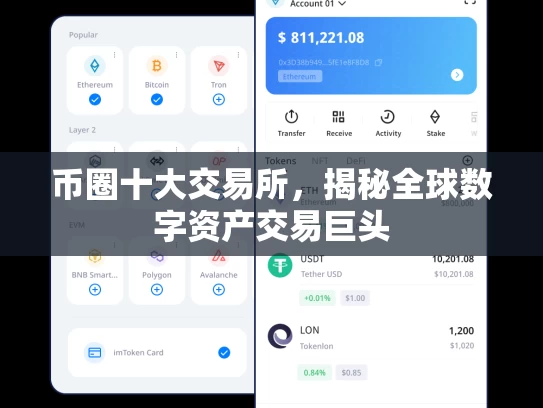 币圈十大交易所，揭秘全球数字资产交易巨头