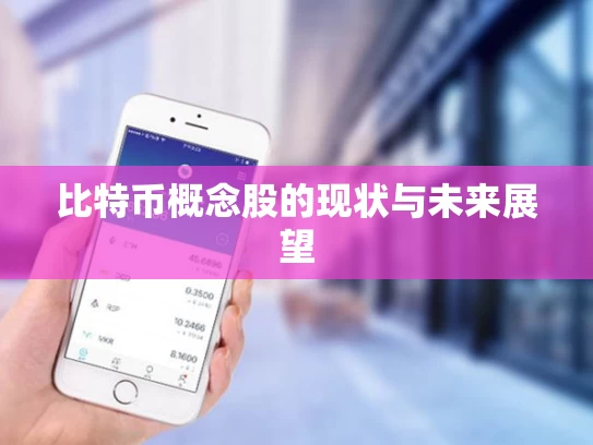 比特币概念股的现状与未来展望