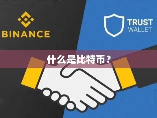 什么是比特币？