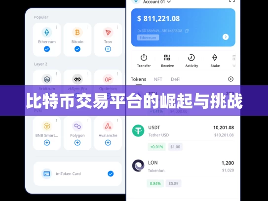 比特币交易平台的崛起与挑战