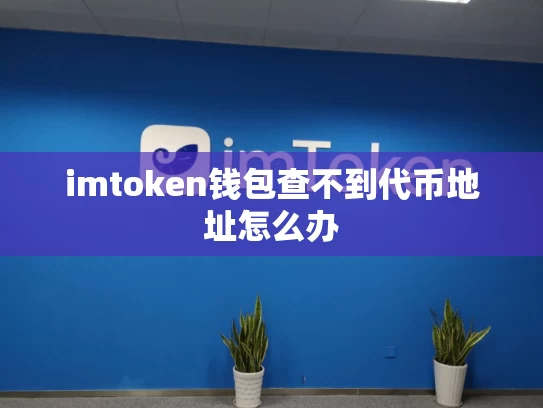 imtoken钱包查不到代币地址怎么办