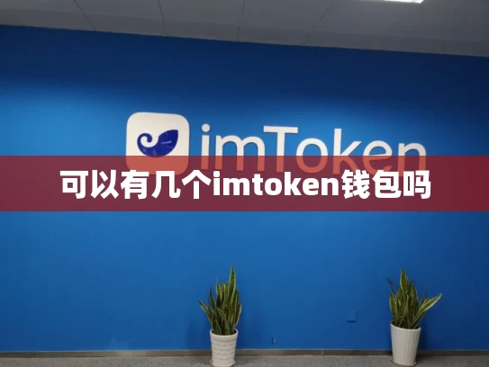 可以有几个imtoken钱包吗