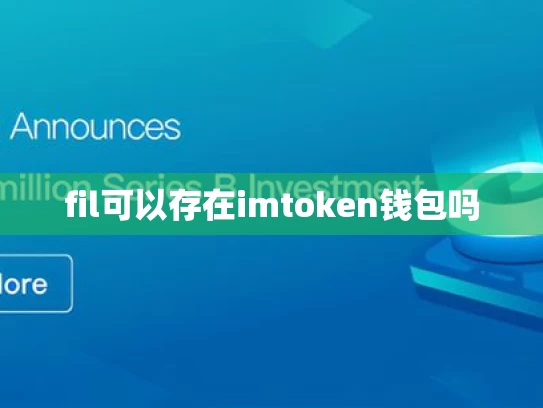 fil可以存在imtoken钱包吗