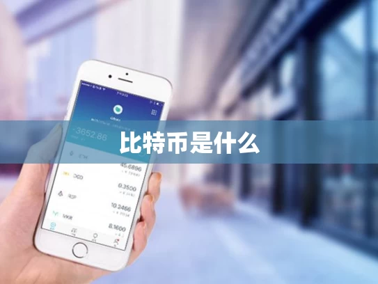 比特币是什么
