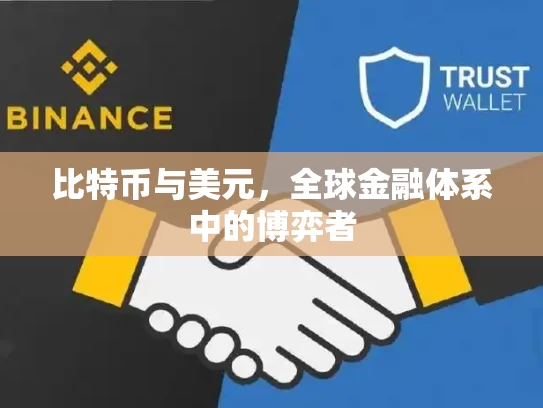 比特币与美元，全球金融体系中的博弈者