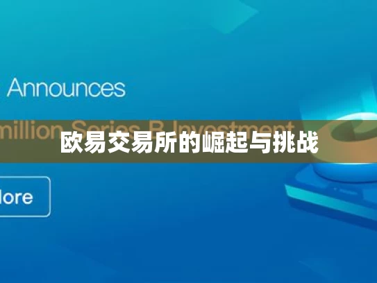欧易交易所的崛起与挑战