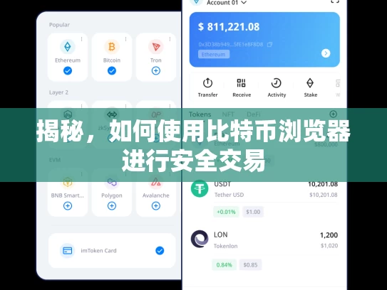 揭秘，如何使用比特币浏览器进行安全交易