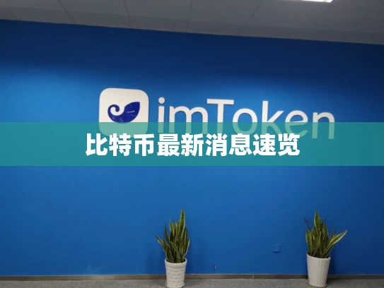 比特币最新消息速览