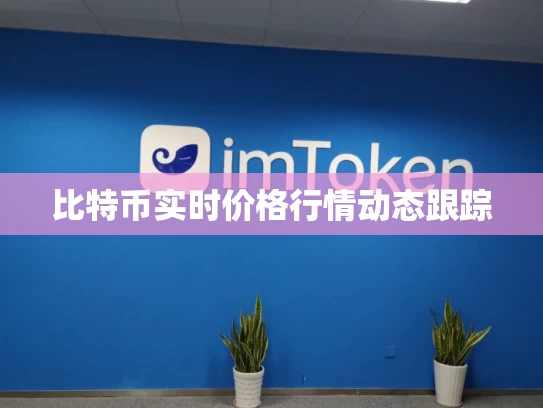 比特币实时价格行情动态跟踪