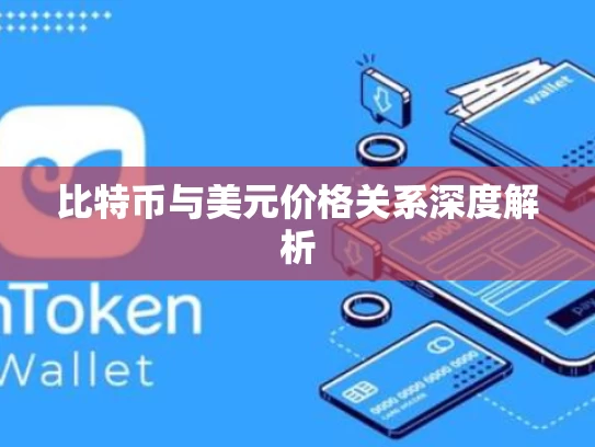 比特币与美元价格关系深度解析