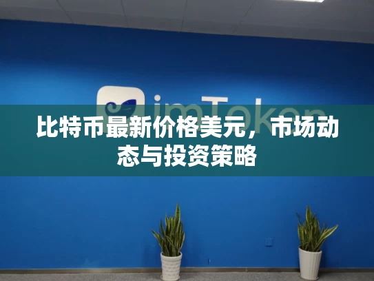 比特币最新价格美元，市场动态与投资策略
