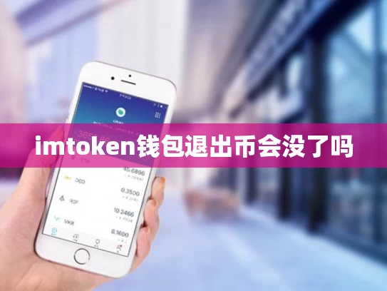 imtoken钱包退出币会没了吗