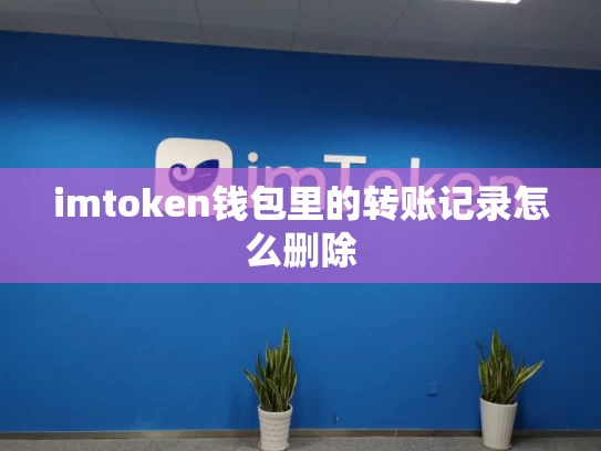 imtoken钱包里的转账记录怎么删除
