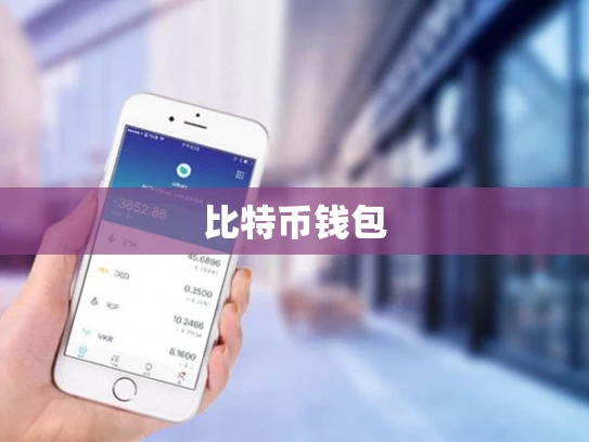 比特币钱包