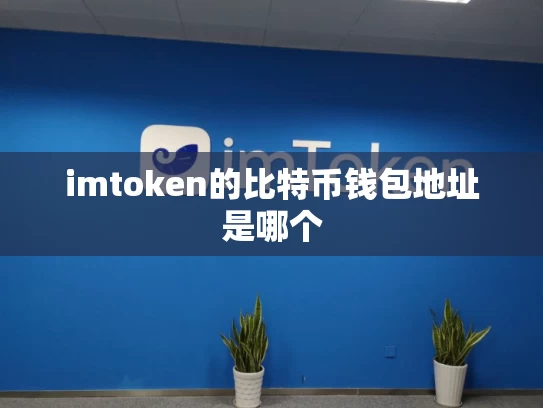 imtoken的比特币钱包地址是哪个
