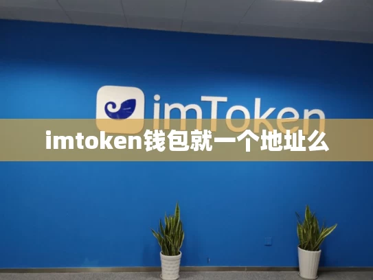 imtoken钱包就一个地址么