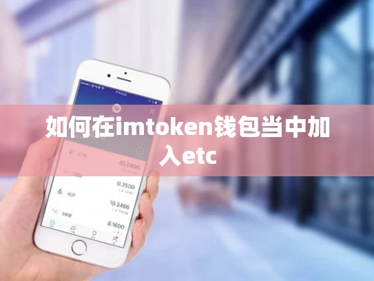 如何在imtoken钱包当中加入etc