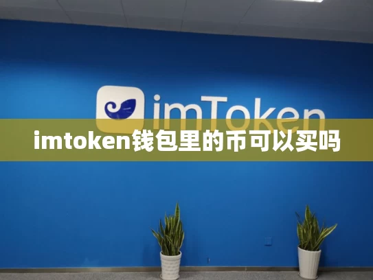 imtoken钱包里的币可以买吗