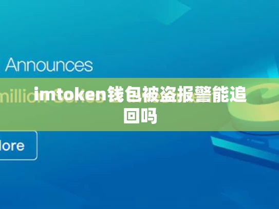 imtoken钱包被盗报警能追回吗