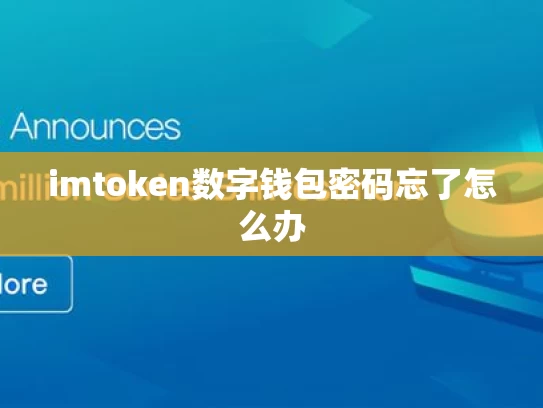 imtoken数字钱包密码忘了怎么办
